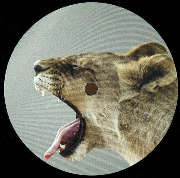 Ejeca & Chamboche / Last Mood / Ste Waite : Delayed EP 2 (12")