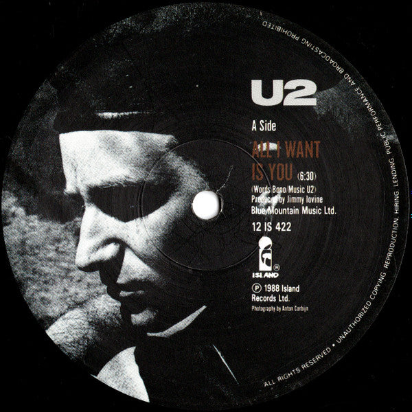 U2 : All I Want Is You (12", Single)