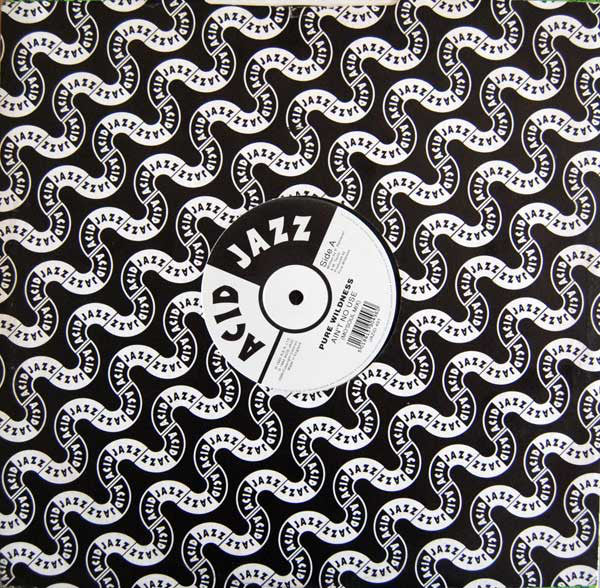 Pure Wildness : Ain't No Use (12")