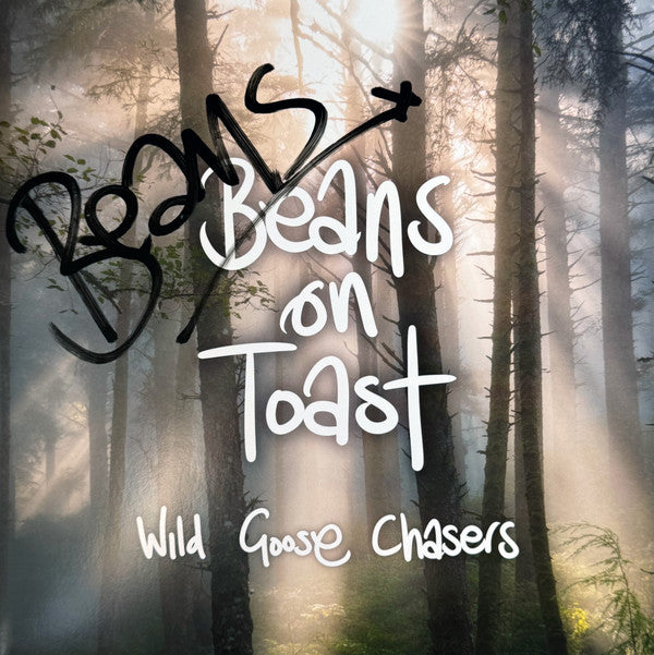 Beans On Toast - Wild Goose Chasers (Picture Disc)