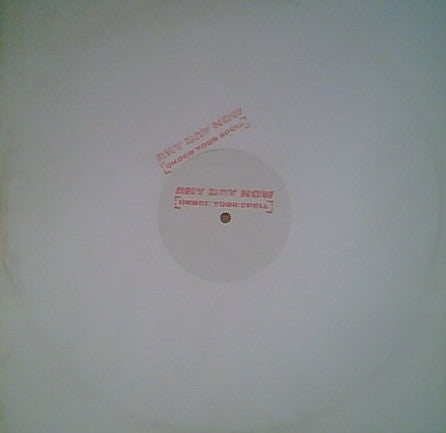 Any Day Now : Under Your Spell (12", W/Lbl)