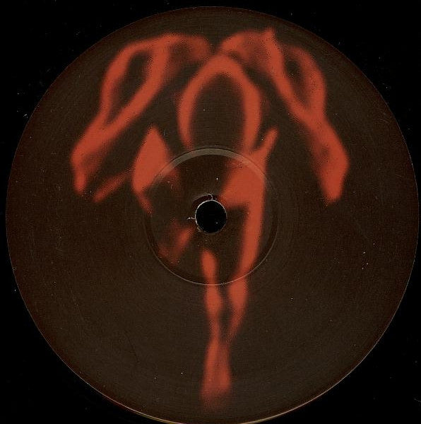 Robert Miles : Paths (12")
