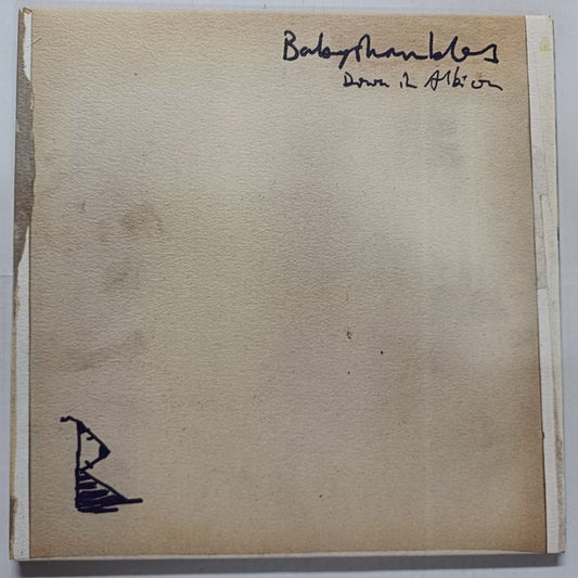 Babyshambles -  Down In Albion