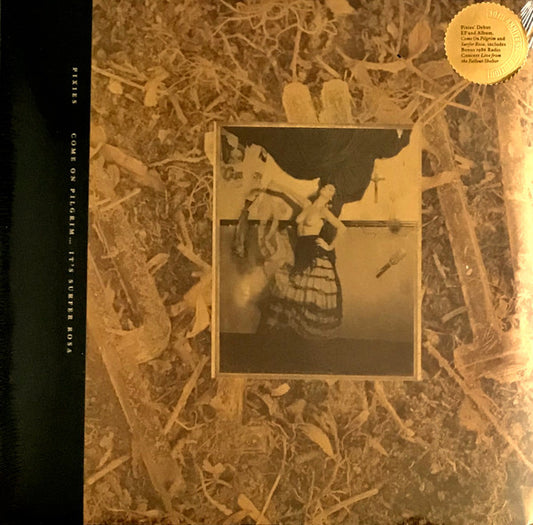 Pixies -  Come On Pilgrim... It'S Surfer Rosa