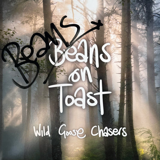 Beans On Toast - Wild Goose Chasers (Picture Disc)