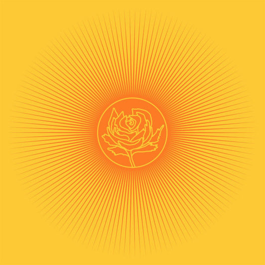 Ryan Adams - Easy Tiger (1LP/Orange)