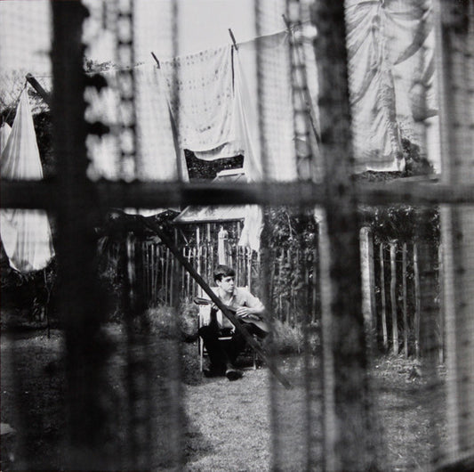 Paul Mccartney - Chaos And Creation In The Backyard